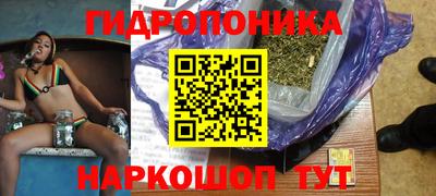 тгк Будённовск