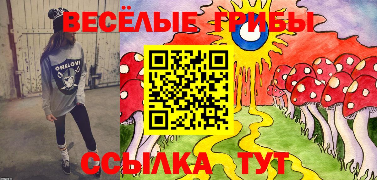 Псилоцибиновые грибы Psilocybe  Вход с VPN  Галлюциногенные грибы GOLDEN TEACHER  Скопин 
